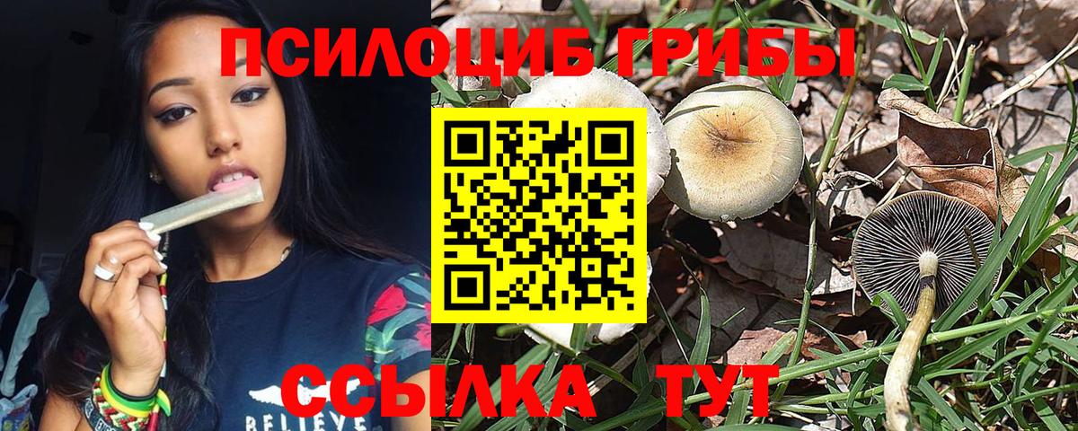 Псилоцибиновые грибы MAGIC MUSHROOMS  Вход с VPN  Россия 