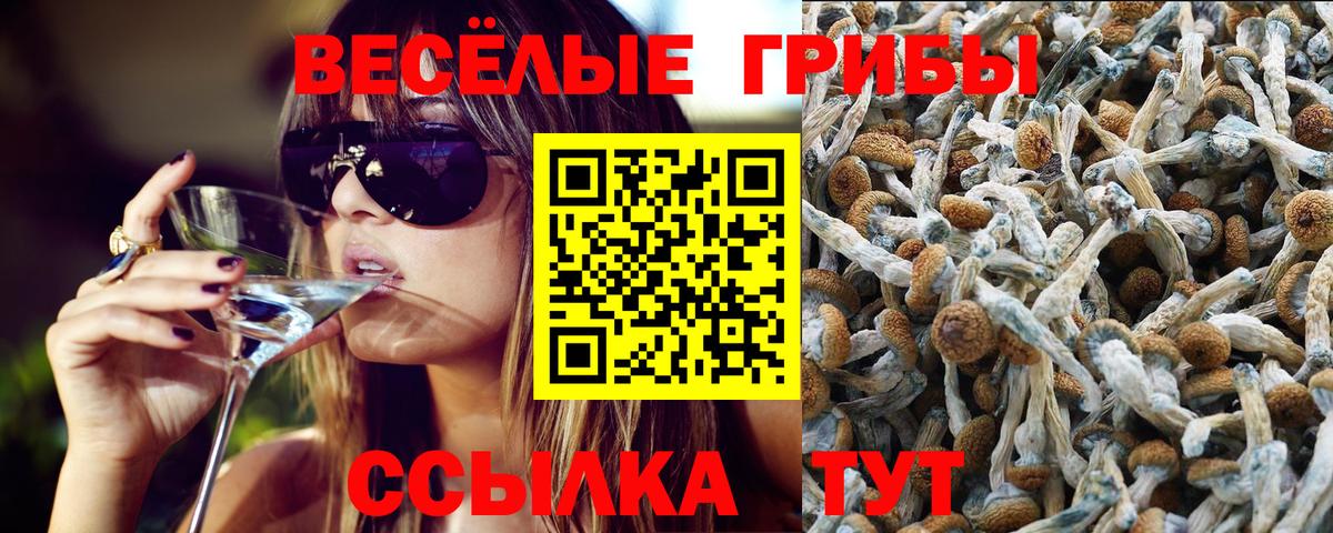 Галлюциногенные грибы MAGIC MUSHROOMS Россия